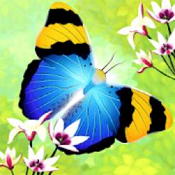 Flutter: Butterfly Sanctuary