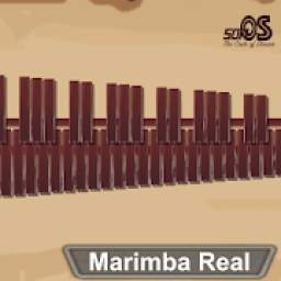 Marimba, Xylophone, Vibraphone Real