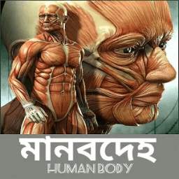 মানবদেহ (Human body)