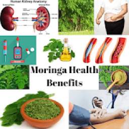 MORINGA HEALTH BENEFITS - THE MIRACLE TREE