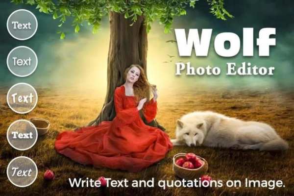 Moon Photo Editor स्क्रीनशॉट 11