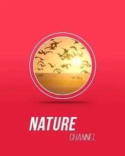 Little TV for Android Wear screenshot 2