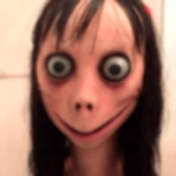 Videos de Momo 1.2