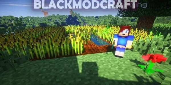 Comes Alive Mod screenshot 3