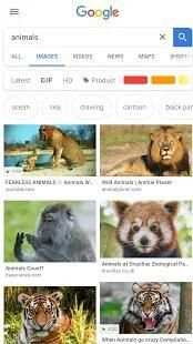 Fast Google - Web Browser & Explorer screenshot 2