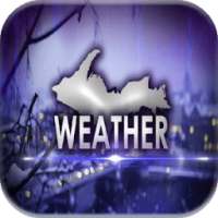 Hourly Weather Forecast