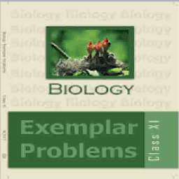 NCERT Biology Exemplar 11th MCQ Questions