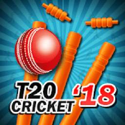 T20 Cricket 2018