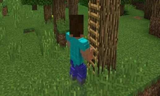 MOD Animated Addon screenshot 1