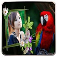 Bird Photo Frames on 9Apps