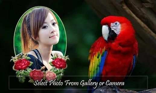 Bird Photo Frames screenshot 6