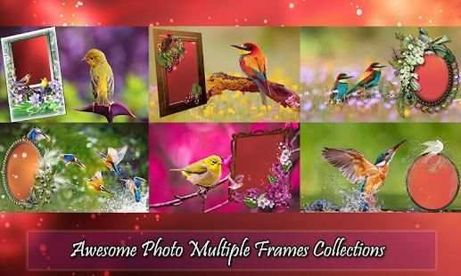 Bird Photo Frames screenshot 3