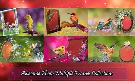 Bird Photo Frames screenshot 4