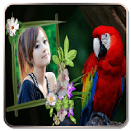Bird Photo Frames आइकन