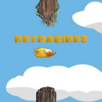 ReynaBirds