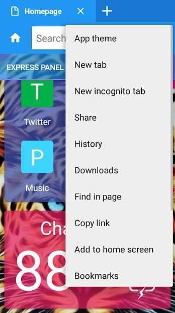 VS Browser screenshot 3