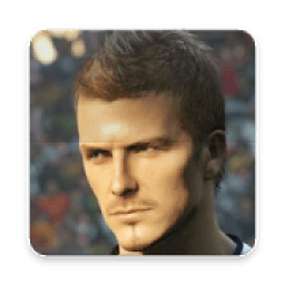 ikon Pes 19:The manual