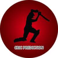 Cricket Live Prediction