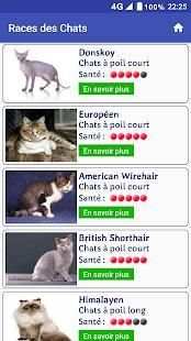 RACES CHATS screenshot 3