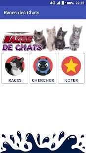 RACES CHATS screenshot 8