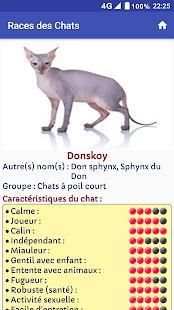 RACES CHATS screenshot 6