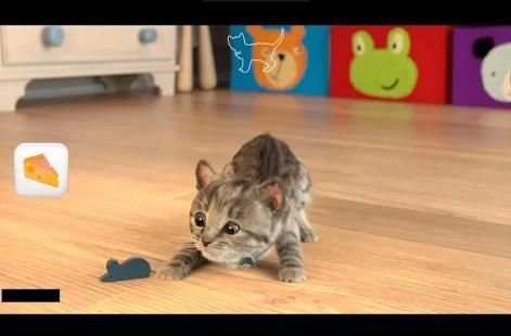 Cat Cartoon screenshot 5