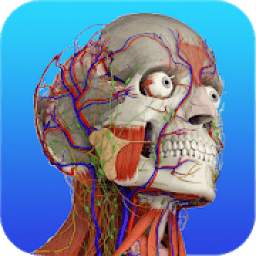 Gray's Anatomy – Atlas | FREE & OFFLINE