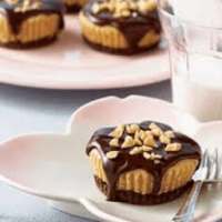 Mini PB Cheesecakes Video Recipe and Chat