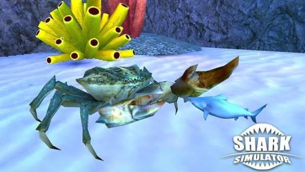 Shark Simulator स्क्रीनशॉट 3