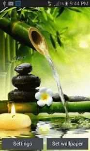 Bamboo Water Live Wallpaper screenshot 1