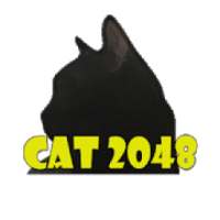 cat 2048