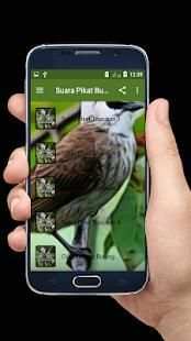 Suara Pikat Burung Trucukan Offline 3 تصوير الشاشة