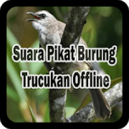 Suara Pikat Burung Trucukan Offline icon