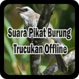 Suara Pikat Burung Trucukan 1.0