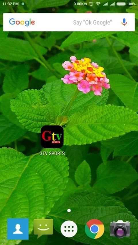 Channel 9 Live स्क्रीनशॉट 5