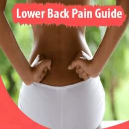 Exercises For Lower Back Pain (A To Z)