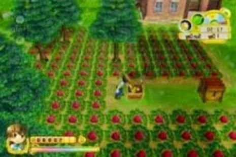 Tricks Harvest Moon screenshot 1