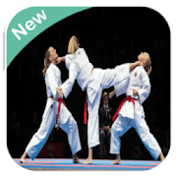 ikon Karate WKF
