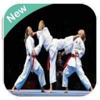 Karate WKF on 9Apps
