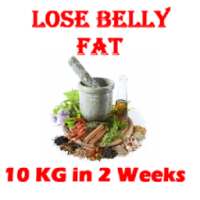 How to Lose Belly Fat in 2 weeks