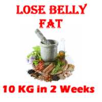 How to Lose Belly Fat in 2 weeks on 9Apps