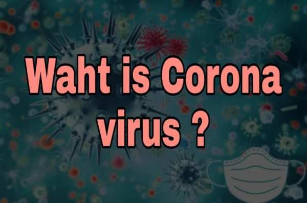 CORONA VIRUS !! स्क्रीनशॉट 3