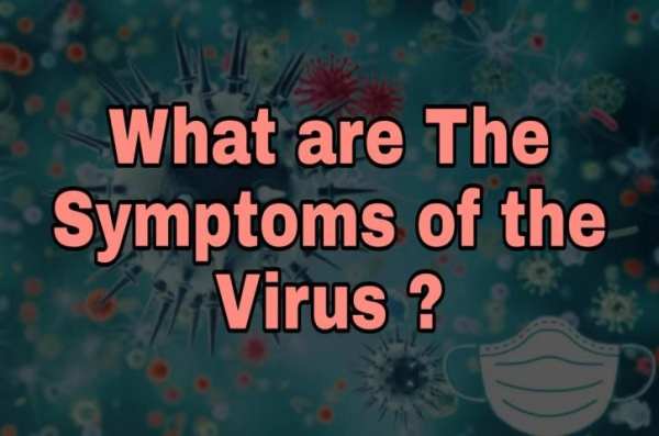 CORONA VIRUS !! स्क्रीनशॉट 2