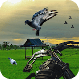Pigeon Hunting 2018: Crossbow Birds Wings Shooting icon