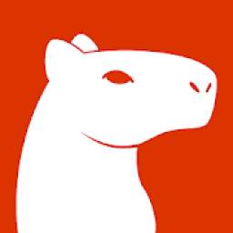 KAPYBARA 2