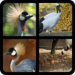 4 Fotos 1 Palabra icon