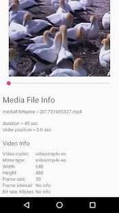 Video & Audio Editor screenshot 2