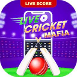 Cricket Mafia : Fast Cricket