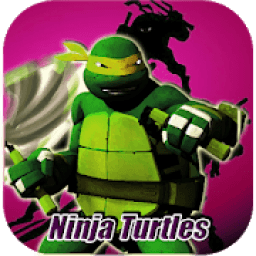 ikon Streetplay Ninja Turtles Fight
