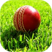 Live Cricket Match